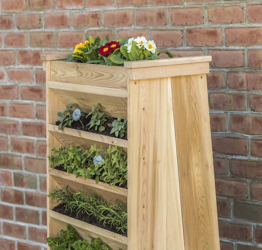 YardCraft Cedar Vertical Garden & Reviews Wayfair
